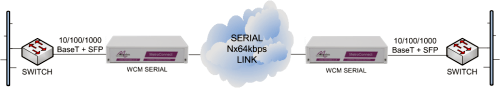 WCM-Serial units performing Ethernet service demarcation and media conversion