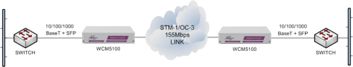 WCM5100 units performing Ethernet service demarcation and media conversion